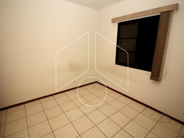 Apartamento aluguel em Região Imediata de Marília, Marília
