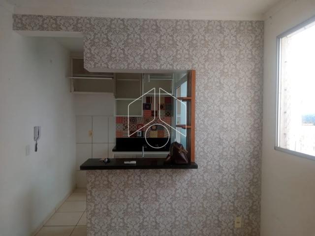 Apartamento aluguel em Núcleo Habitacional Chico Mendes, Marília