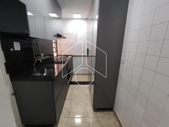 Apartamento aluguel em Núcleo Habitacional Chico Mendes, Marília