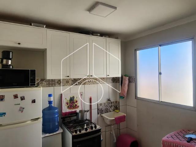 Apartamento aluguel em Região Imediata de Marília, Marília