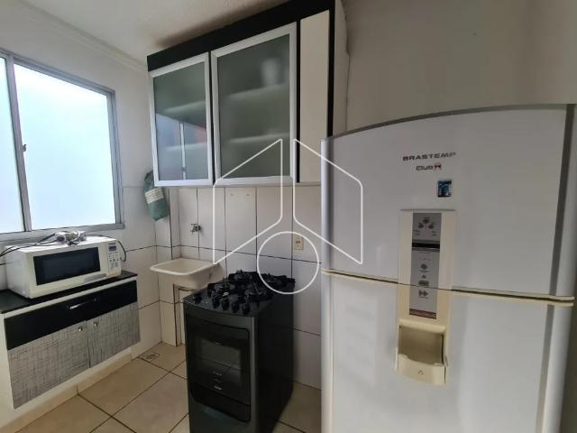 Apartamento aluguel em Região Imediata de Marília, Marília