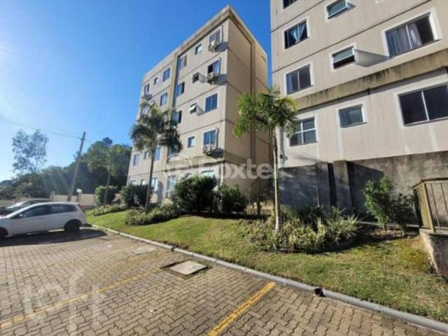 Apartamento venda em Novo Hamburgo