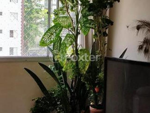 Apartamento venda em Vila do Encontro, São Paulo