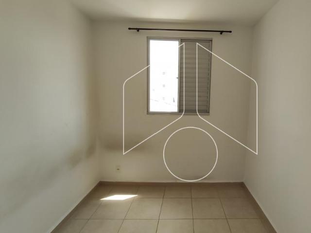 Apartamento aluguel em Região Imediata de Marília, Marília