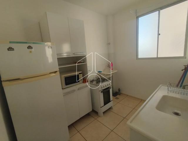 Apartamento aluguel em Região Imediata de Marília, Marília