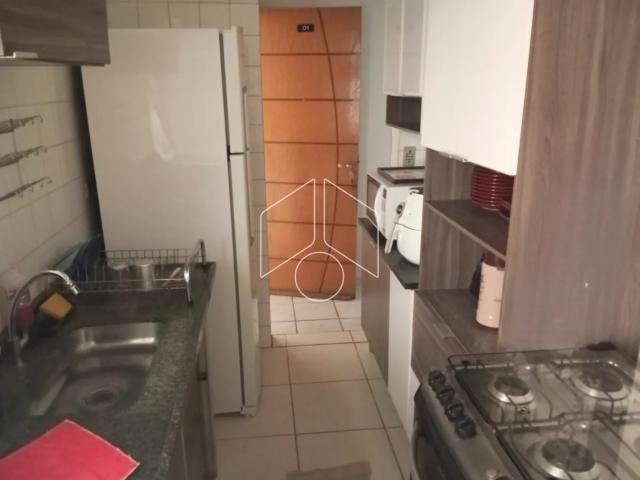 Apartamento aluguel em Núcleo Habitacional Chico Mendes, Marília