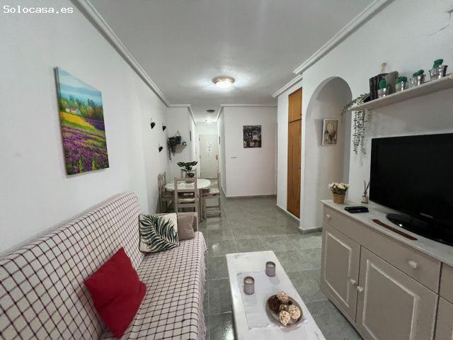Piso en alquiler en El Palmeral, el Baix Segura / La Vega Baja