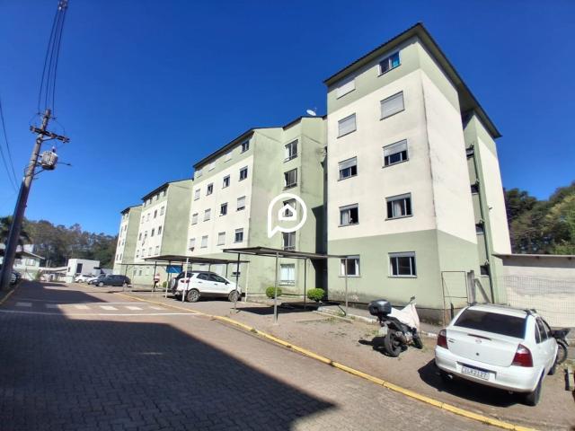 Apartamento aluguel em Região Geográfica Imediata de Caxias do Sul, Caxias do Sul