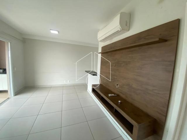 Apartamento aluguel em Padre Nóbrega, Marília