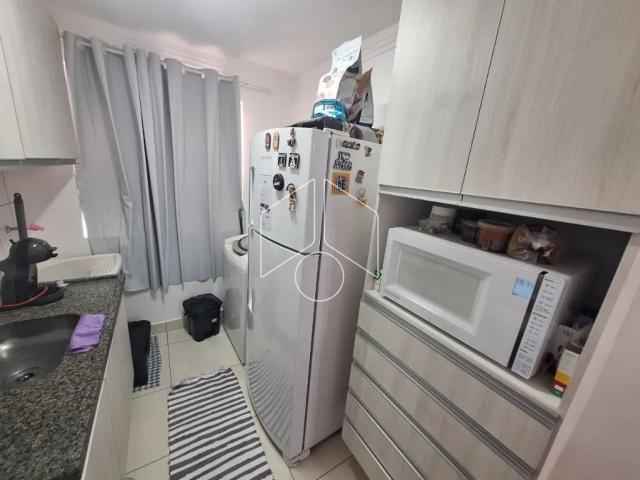 Apartamento aluguel em Vila Mariana, Marília