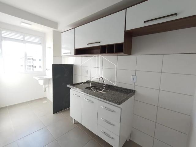 Apartamento aluguel em Região Imediata de Marília, Marília