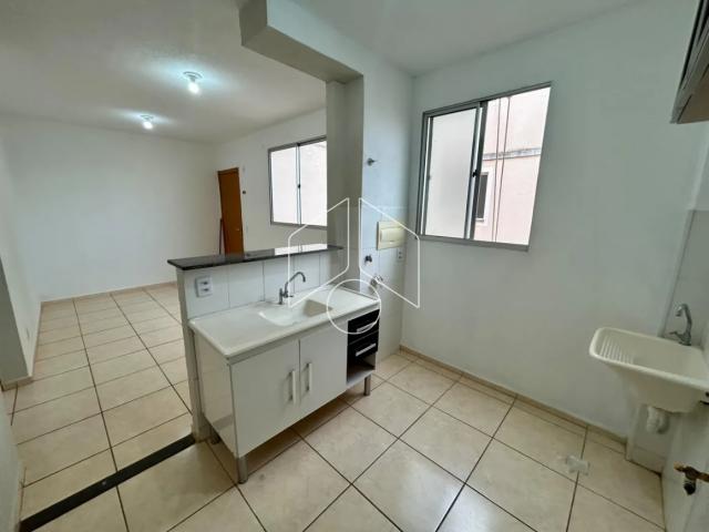Apartamento aluguel em Núcleo Habitacional Chico Mendes, Marília