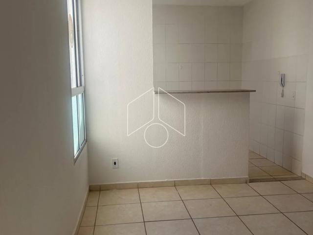 Apartamento aluguel em Região Imediata de Marília, Marília