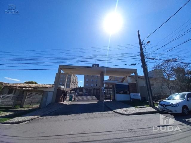 Apartamento aluguel em Região Geográfica Imediata de Criciúma, Criciúma