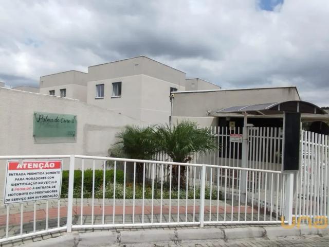 Apartamento aluguel em Região Geográfica Imediata de Curitiba, Região Metropolitana de Curitiba