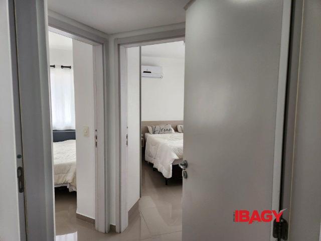 Apartamento aluguel em Canasvieiras, Florianópolis