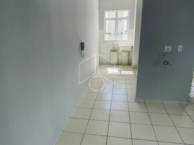 Apartamento aluguel em Região Imediata de Marília, Marília