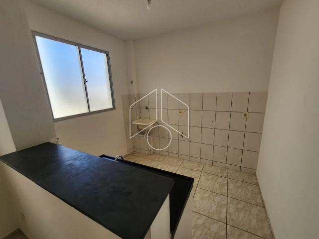 Apartamento aluguel em Região Imediata de Marília, Marília