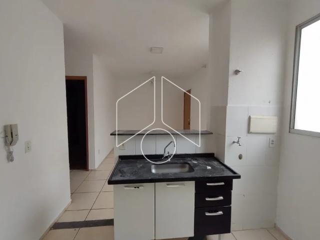 Apartamento aluguel em Núcleo Habitacional Chico Mendes, Marília