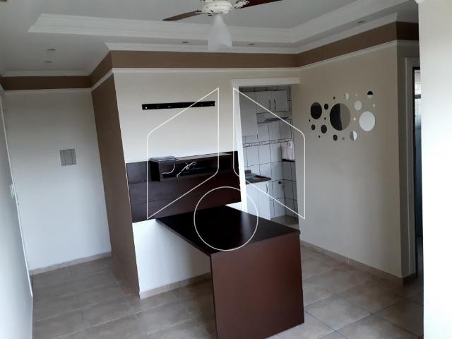 Apartamento aluguel em Região Imediata de Marília, Marília