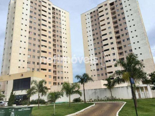 Apartamento aluguel em Samambaia, Região Geográfica Intermediária do Distrito Federal