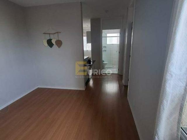 Apartamento aluguel em Vila Itapura, Campinas