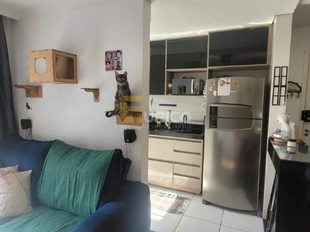 Apartamento aluguel em Região Imediata de Campinas, Região Metropolitana de Campinas