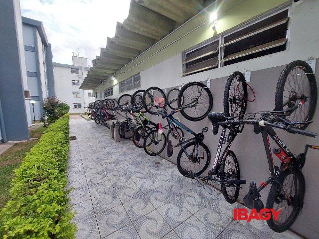Apartamento aluguel em Região Geográfica Imediata de Florianópolis, Desterro