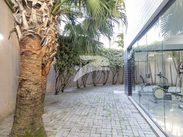 Apartamento aluguel em Região Geográfica Imediata de Curitiba, Região Metropolitana de Curitiba