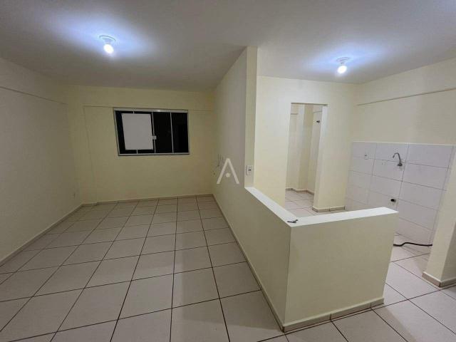 Apartamento aluguel em Região Geográfica Imediata de Toledo, Toledo