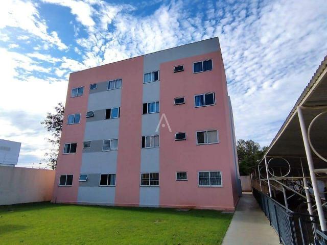 Apartamento aluguel em Região Geográfica Imediata de Toledo, Toledo
