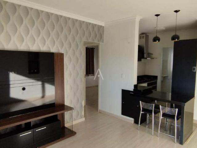 Apartamento aluguel em Jardim Parigot, Toledo