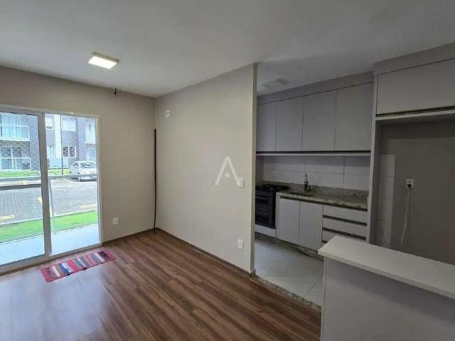 Apartamento aluguel em Jardim Paraná, Toledo