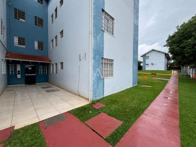 Apartamento aluguel em Vila Pioneiro, Toledo
