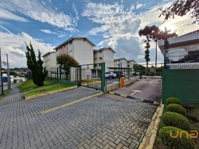 Apartamento aluguel em Região Geográfica Imediata de Curitiba, Região Metropolitana de Curitiba