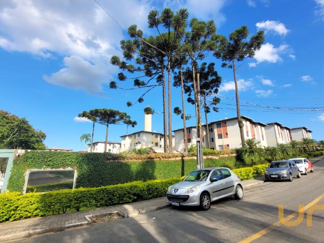 Apartamento aluguel em Região Geográfica Imediata de Curitiba, Região Metropolitana de Curitiba