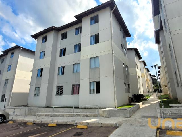 Apartamento aluguel em Região Geográfica Imediata de Curitiba, Região Metropolitana de Curitiba