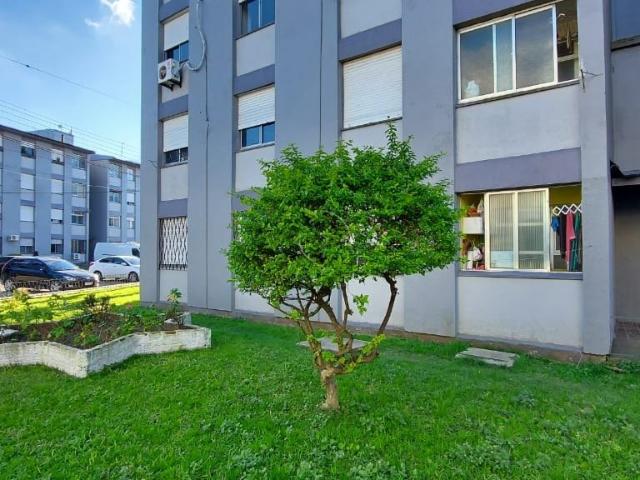 Apartamento aluguel em Região Geográfica Imediata de Pelotas, Aglomeração Urbana do Sul