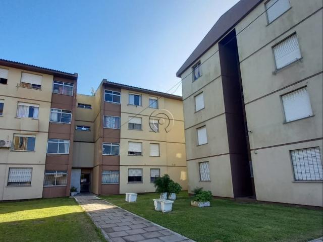 Apartamento aluguel em Região Geográfica Imediata de Pelotas, Aglomeração Urbana do Sul