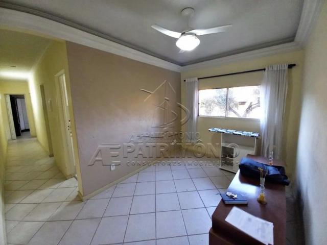 Apartamento aluguel em Sorocaba