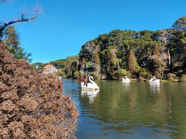 Apartamento venda em Região Geográfica Imediata de Caxias do Sul, Gramado