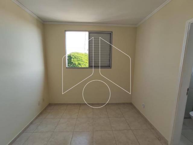 Apartamento aluguel em Região Imediata de Marília, Marília