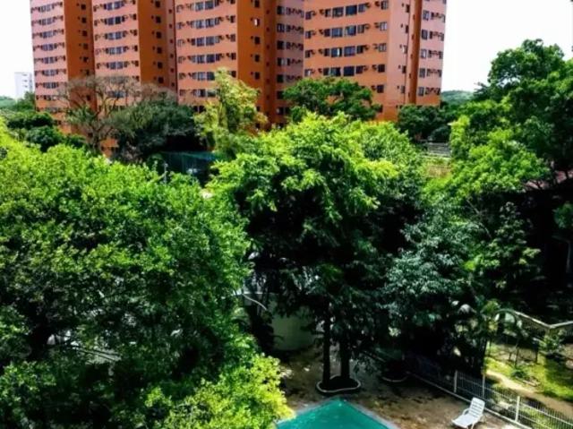 Apartamento venda em Região Geográfica Imediata do Recife, Região Metropolitana do Recife