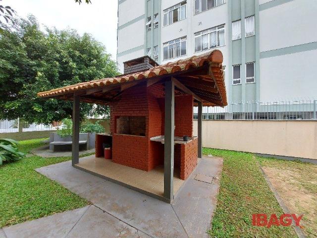 Apartamento aluguel em Região Geográfica Imediata de Florianópolis, São José