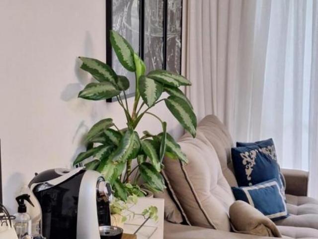 Apartamento venda em Região Imediata de São Paulo, Região Metropolitana de São Paulo