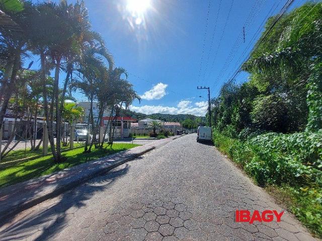 Apartamento aluguel em Região Geográfica Imediata de Florianópolis, São José