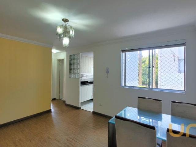 Apartamento aluguel em Região Geográfica Imediata de Curitiba, Região Metropolitana de Curitiba