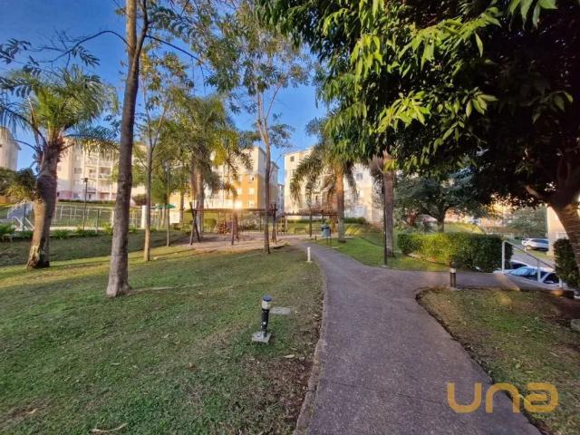 Apartamento aluguel em Região Geográfica Imediata de Curitiba, Região Metropolitana de Curitiba