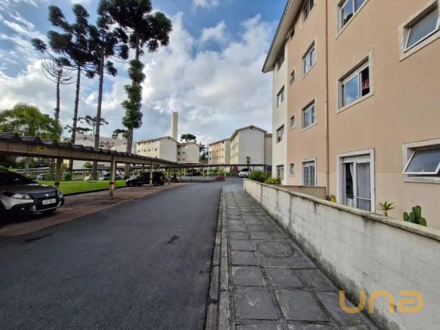 Apartamento aluguel em Região Geográfica Imediata de Curitiba, Região Metropolitana de Curitiba