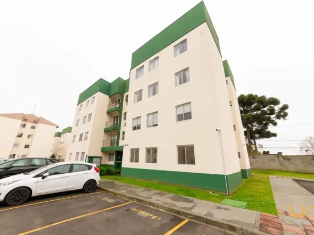 Apartamento aluguel em Região Geográfica Imediata de Curitiba, Região Metropolitana de Curitiba